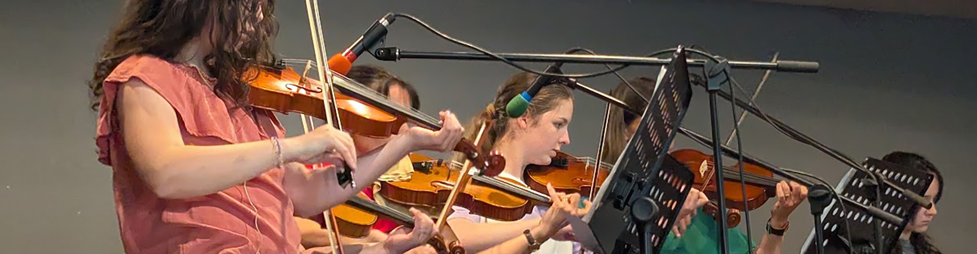 Instruments à cordes frottées