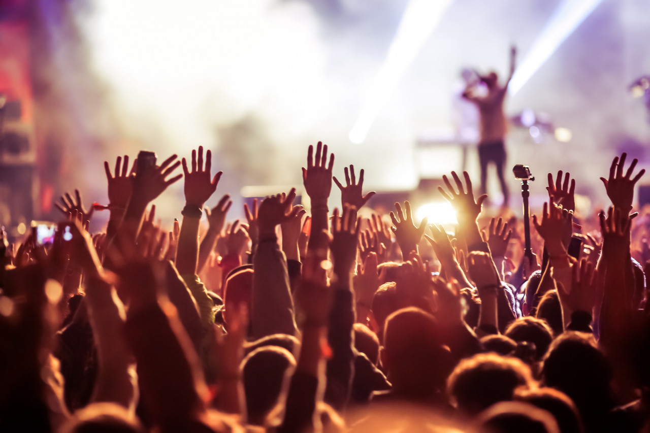 Festival de Musiques Actuelles
